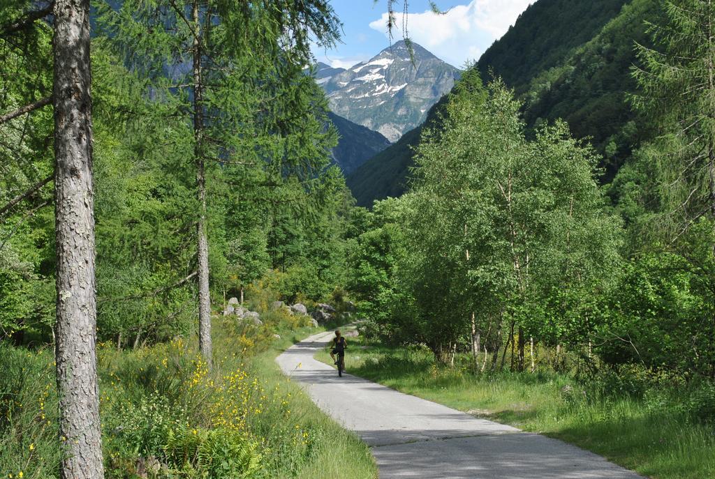 Myverzasca Resort Casa Rossa Brione  ภายนอก รูปภาพ